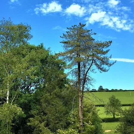 Llanboidy Heddfan Bed & Breakfast エクステリア 写真