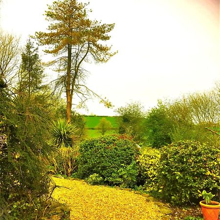 Llanboidy Heddfan Bed & Breakfast エクステリア 写真