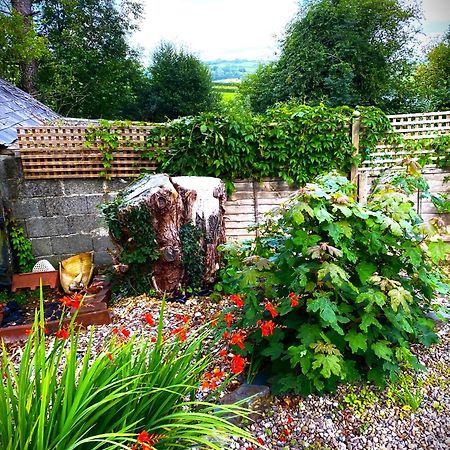 Llanboidy Heddfan Bed & Breakfast エクステリア 写真
