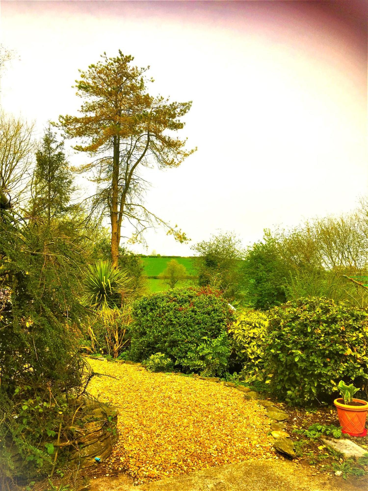 Llanboidy Heddfan Bed & Breakfast エクステリア 写真